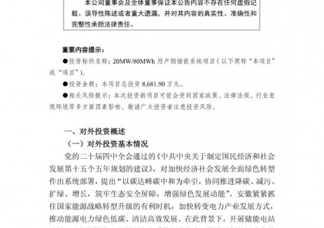 皖维高新拟8681.90万元投建<em>用户侧储能项目</em>