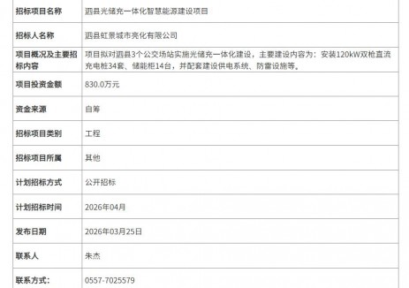 招標(biāo) | 安徽宿州泗縣光儲(chǔ)充一體化智慧<em>能源建設(shè)</em>項(xiàng)目招標(biāo)項(xiàng)目計(jì)劃