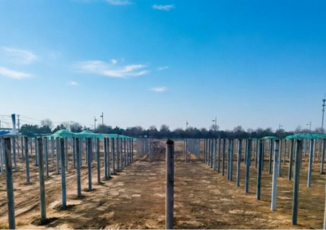 中建中環(huán)沿海智漁贛榆<em>集中式光伏</em>項目樁基工程全面完成