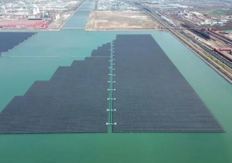 電站首選 | 馭光近海灘涂，至尊700W+組件打造<em>海上光伏</em>新標桿