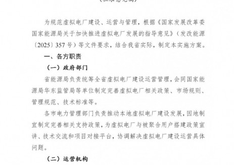 安徽省<em>虛擬電廠</em>建設(shè)運(yùn)營管理實(shí)施方案公開征求意見