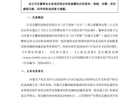 内蒙古鄂托克旗城建接手！宝馨科技出售异质结组件产线