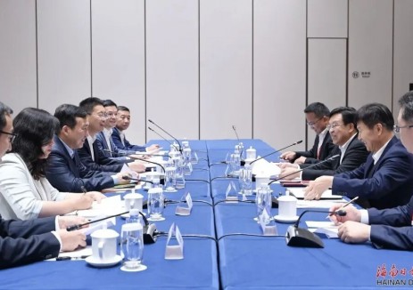 國(guó)家電投集團(tuán)與海南省舉行工作會(huì)談