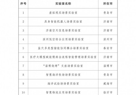 山東：探索打造<em>可再生能源發(fā)電</em>與綠電制氫、多元儲能等新技術(shù)應(yīng)用場景