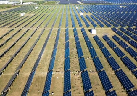 國家電投集團黃河公司一季度無故障光伏子陣占比較去年<em>同期</em>提升4.84%