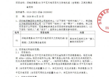 招標(biāo) | 深能650MW風(fēng)力<em>發(fā)電機(jī)組</em>（含塔筒）采購(gòu)招標(biāo)！