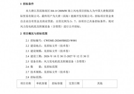 招標(biāo) | 大唐江蘇濱<em>海南</em>區(qū)H4-1(200MW)海上風(fēng)電項(xiàng)目招標(biāo)！