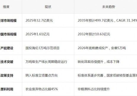 纖維<em>乙醇</em>崛起：從“秸稈”到“燃料”的綠色革命