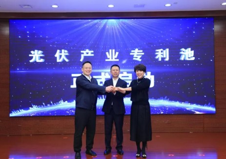 <em>天合光能</em>等六家龍頭企業(yè)共建中國(guó)首個(gè)光伏產(chǎn)業(yè)專利池