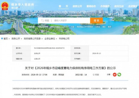 浙江省桐鄉(xiāng)市發(fā)布《2026年桐鄉(xiāng)市迎峰度夏<em>電力保供</em>和有序用電工作方案》