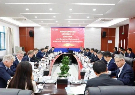 東方電氣集團與<em>法國電力集團</em>舉行會談