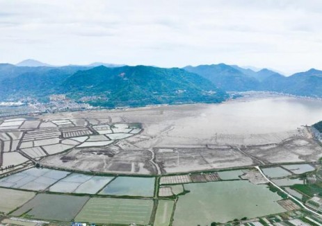 福建宁德海洋生态保护修复项目开工