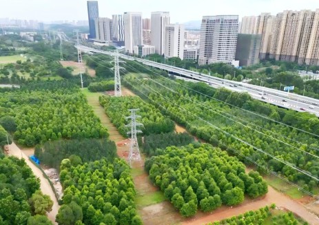 华中最长220千伏大截面电缆线路工程投运