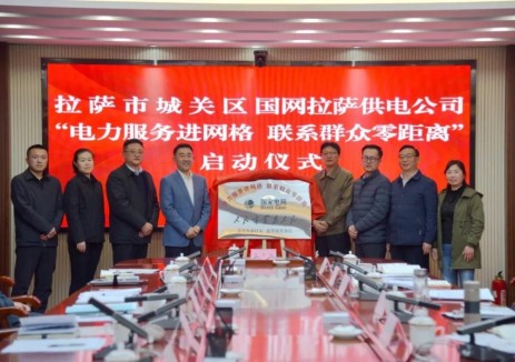 国网西藏电力：政企融合三网共建赋能高原发展