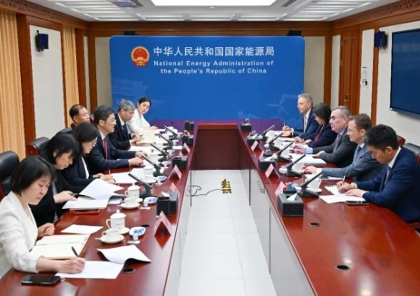 国家能源局负责人会见法国电力集团执行董事