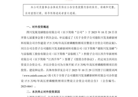 川发龙蟒终止17.5万吨高压密磷酸铁锂项目合作事项