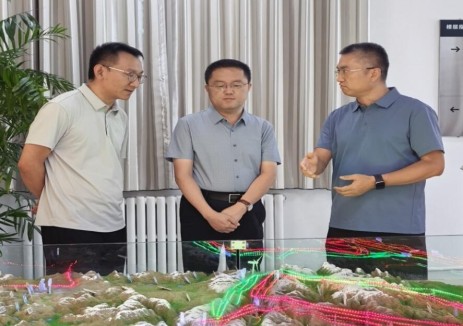 新疆能源监管办开展电力安全督导