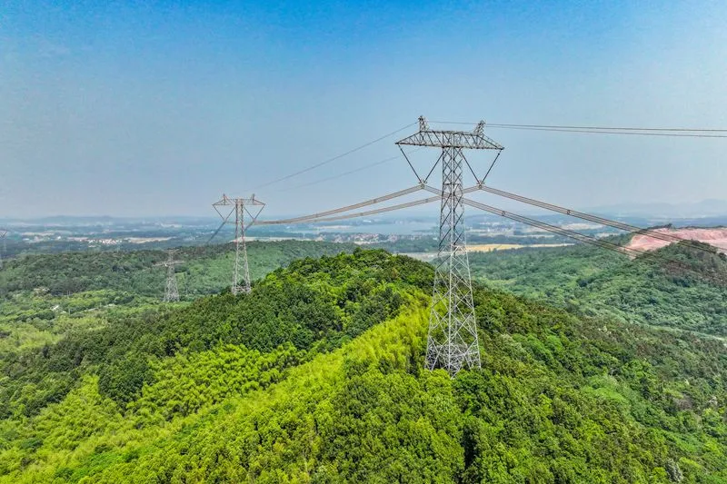 国家电网助力碳达峰目标①：绘就江苏绿色新图景
