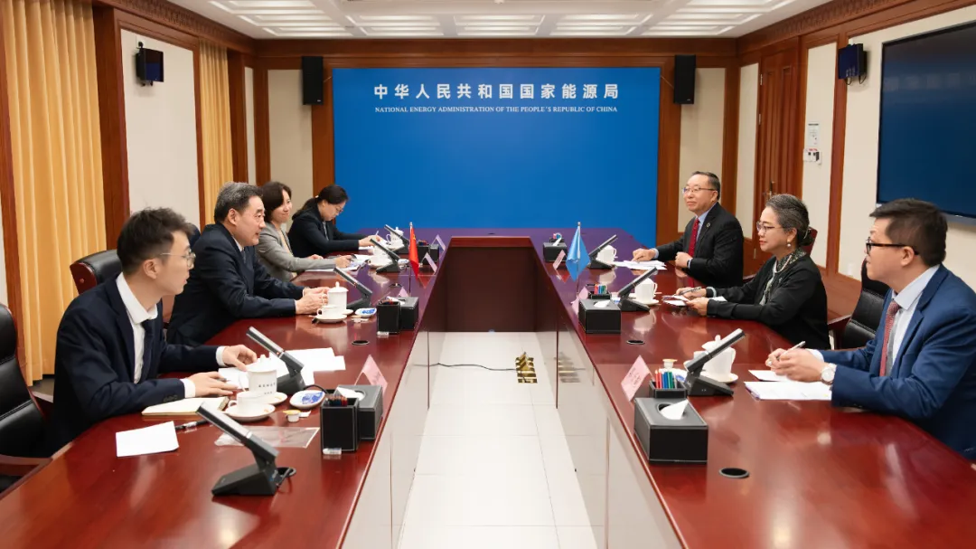 国家能源局主要负责人会见联合国副秘书长兼亚太经社会执行秘书