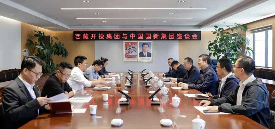 深化央地产融协同 赋能绿色能源发展——西藏开投集团与中国国新集团开展座谈交流