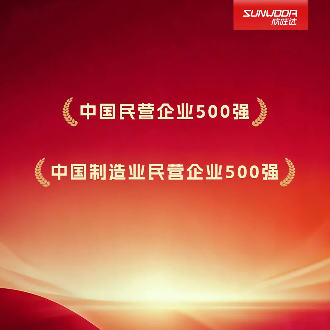 首次挺进200强！欣旺达连续九年上榜中国民营企业500强