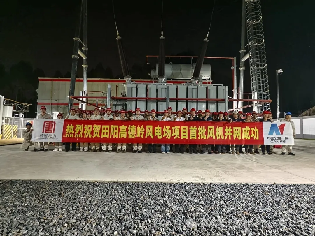 中国安能一局海南公司田阳高德岭风电场项目首批风机顺利并网发电