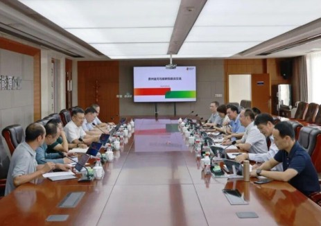 国家电投贵州金元与能研院座谈