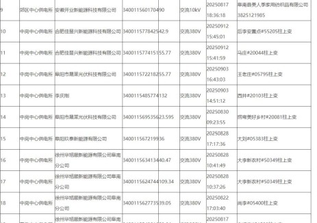 安徽阜南县集中核查清理在途超一年光伏项目
