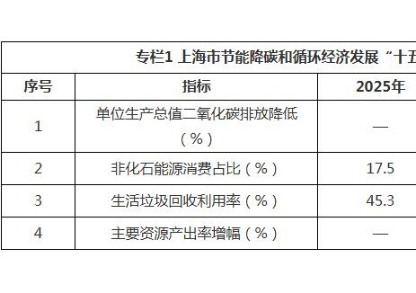 上海：加快推进深远海风电基地建设，因地制宜发展分散式风电项目