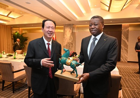 中国电建党委书记、董事长丁焰章拜会多哥部长会议主席福雷·纳辛贝
