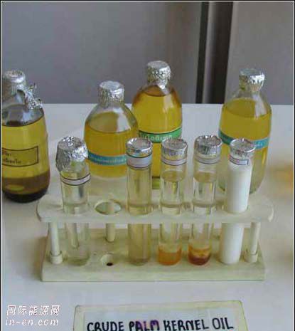 油價高漲 泰國加緊開發<em>替代能源</em>