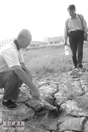 沼气灶排行_西藏:沼气灶取代牛粪灶