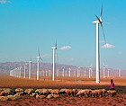 <em>绿色和平</em>组织：中国风电价格机制有待完善