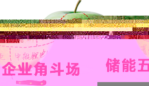 3·23储能第一战五大<em>主角</em>争锋