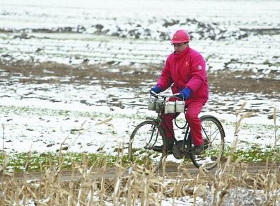 华北油田应对低温 对油井实施特殊井<em>重点井</em>热洗方案
