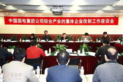 国电集团公司举办综合产业体制改革座谈会