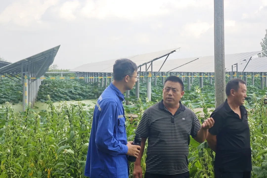 2.吴集村村支书余世友与电厂工作人员协商堰塘规划.jpg